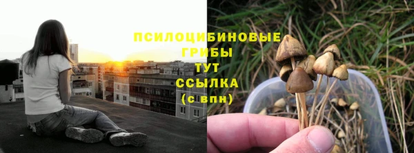 амфетамин Алексеевка