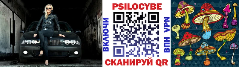 где продают наркотики  Краснокамск  Псилоцибиновые грибы прущие грибы 